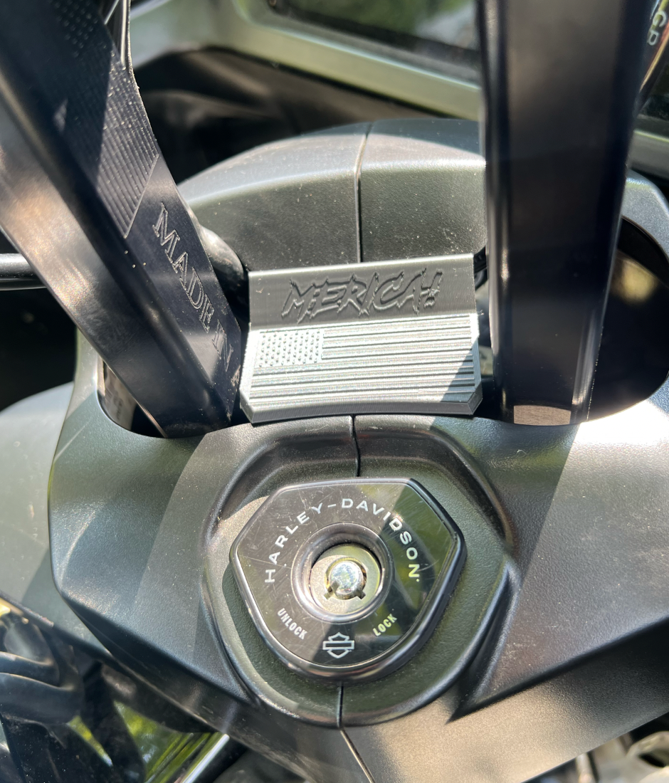 MERICA! - american flag 23.5+ Road glide Black filler piece - custom filler to fill open hole between riser